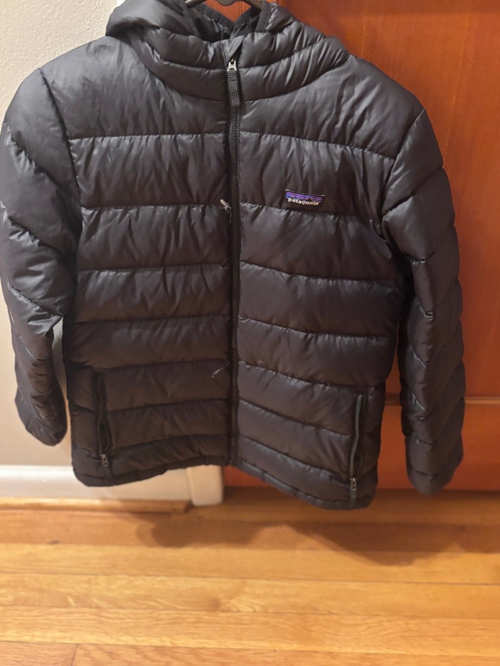 Patagonia puffer w hood